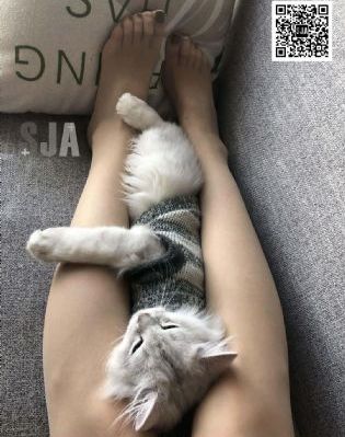 亚州色色一区二区三区_电影未删减版